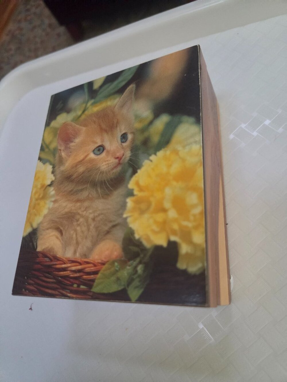vintage wooden keepsake box with a charming orange kitten